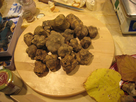San Miniato frische Trueffeln Frische Trüffeln auf dem Trüffelmarkt in San Miniato