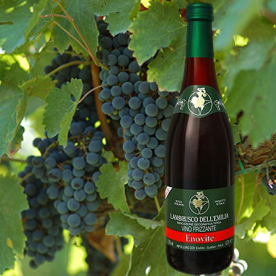 Lambrusco IGT Lambrusco Frizzante Emilia IGT