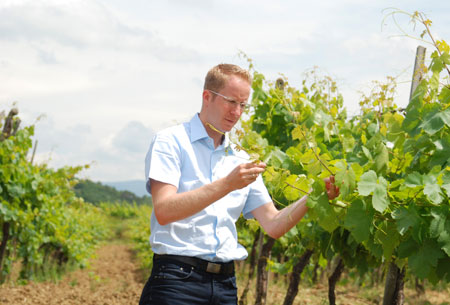 Ich muss auch mal vor Ort nach dem Wein schauen...