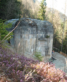 Degust-Affineur-Bunker im Wald Der Bunker im Wald