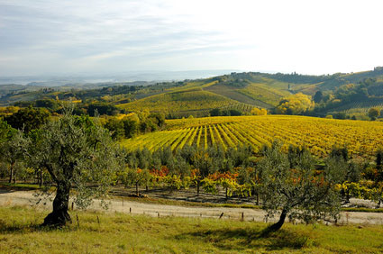 chianti landschaft Landschaft in Chianti