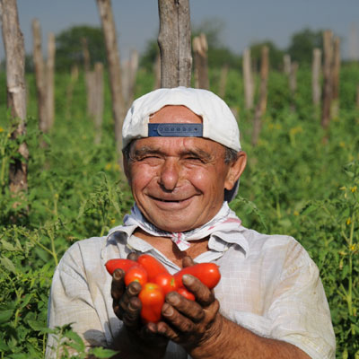 tomatenessig_san-marzano ..oder aus San-Marzano-Tomaten