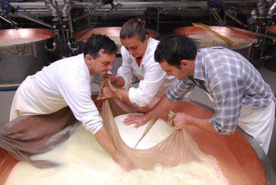 Kräftige Arme sind bei der Herstellung von Parmesan nötig