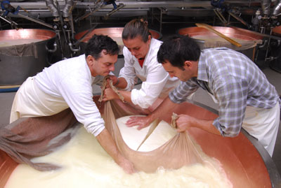 parmesan herstellung Kräftige Arme sind bei der Herstellung von Parmesan nötig