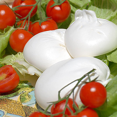 burrata