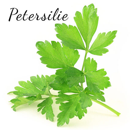 glatte petersilie