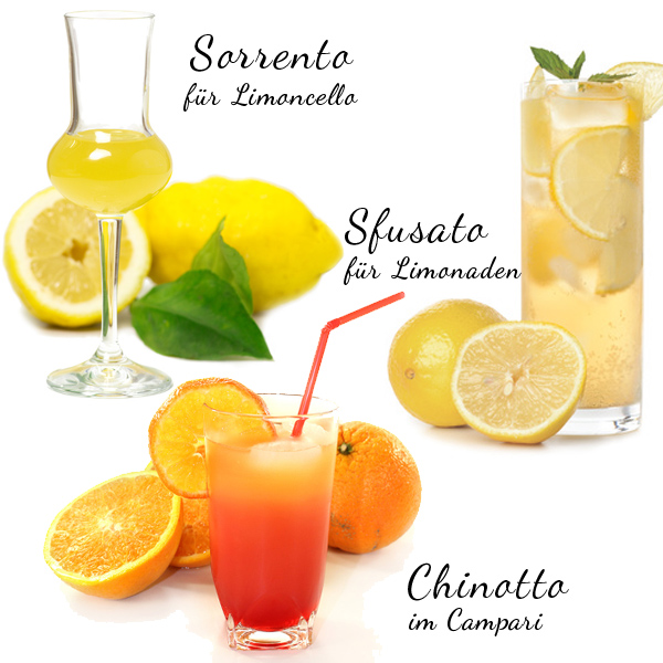 Sorrento Sfusato Chinotto