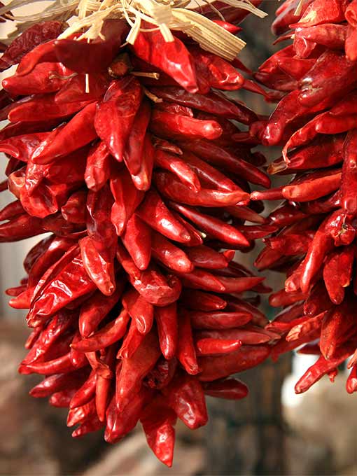 Peperoncino