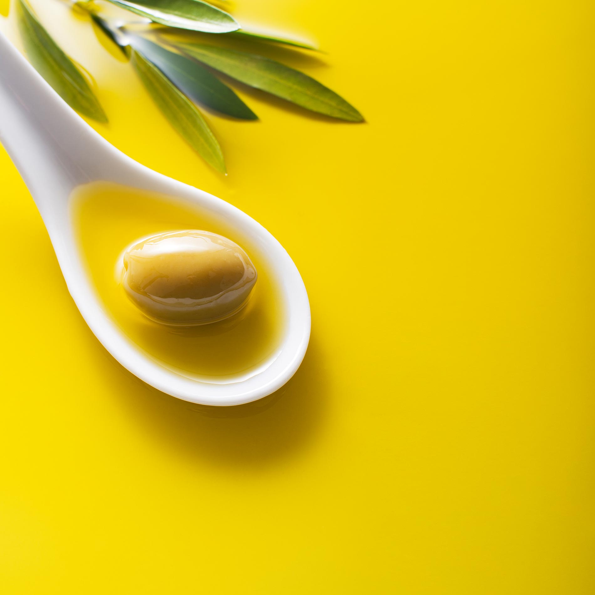 Ölfässer Ölkanister zur Aufbewahrung von Olivenölen und Speiseölen