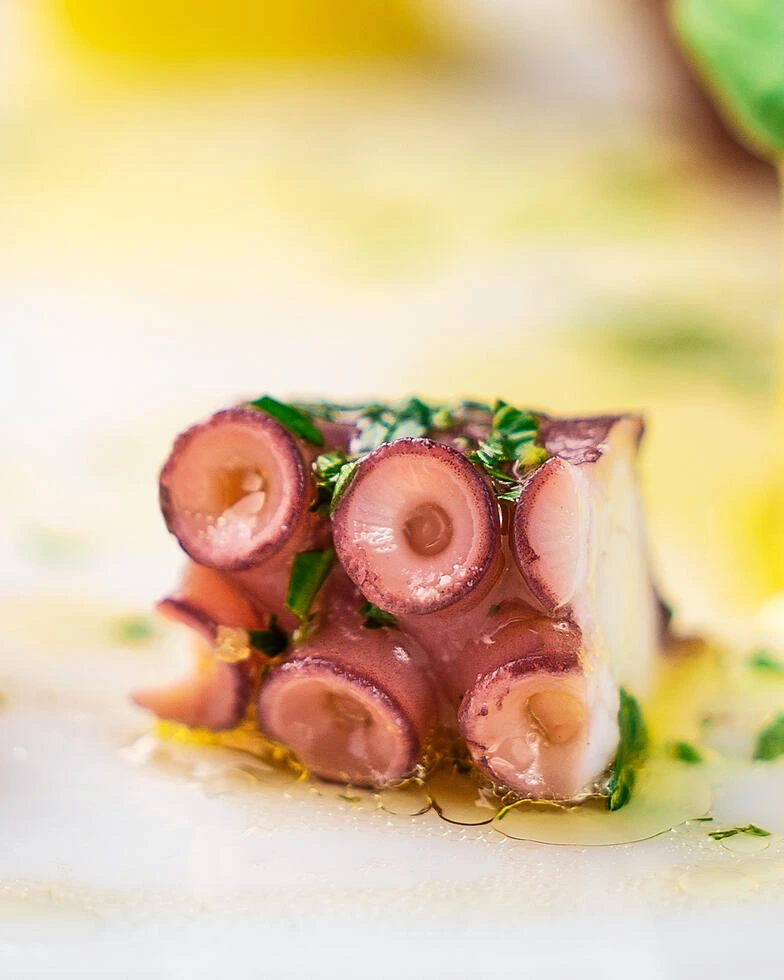 Nahaufnahme eines Polpo alla Siciliana, marinierter, gekochter Tintenfisch mit Tomaten, Olivenöl und Kräutern