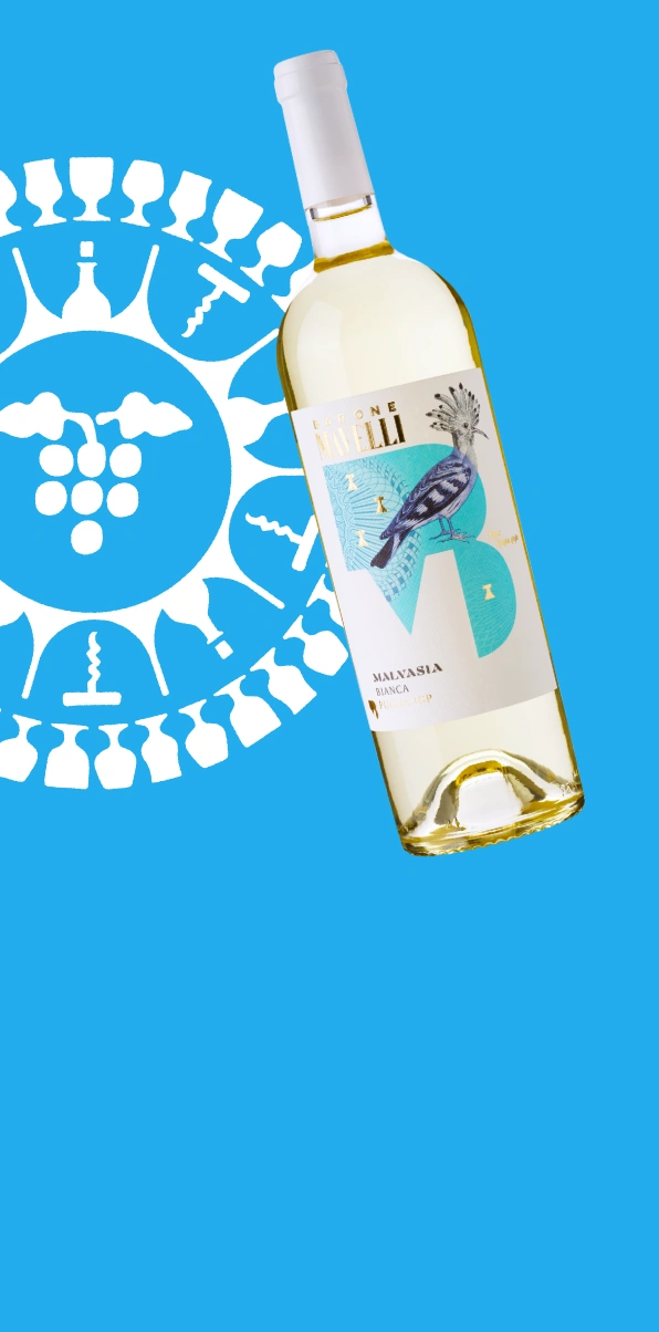 Malvasia Puglia IGP - Weißwein