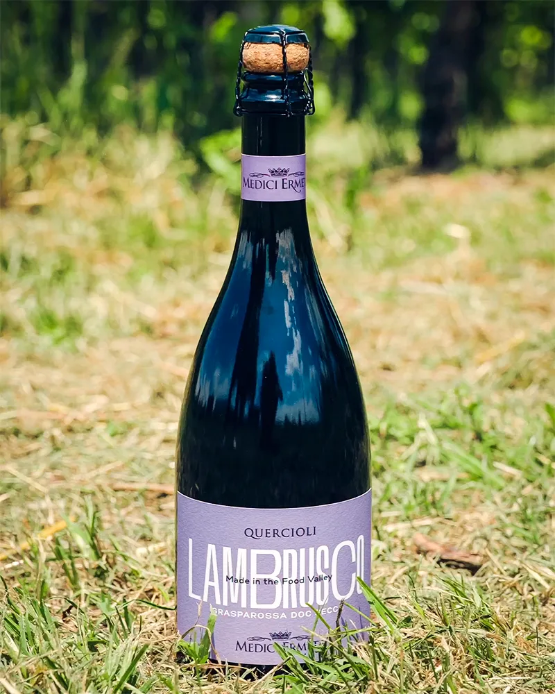Lambrusco Grasparossa DOC - Sec Lambrusco Grasparossa DOC - Sec