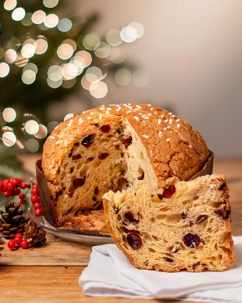 Panettone Schoko-Kirsch - im Geschenkkarton
