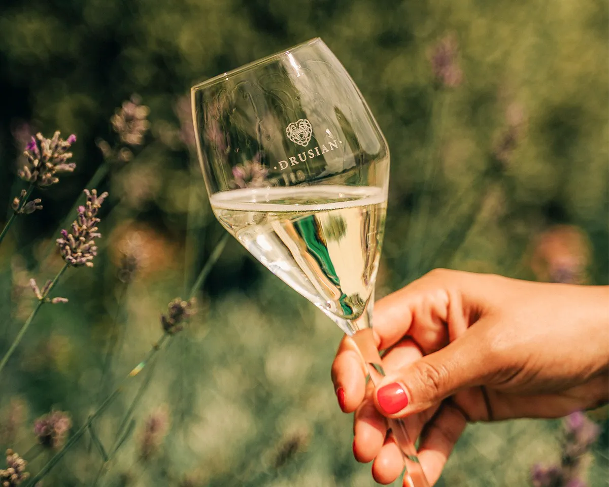 Ein Glas Drusian Prosecco in der Hand