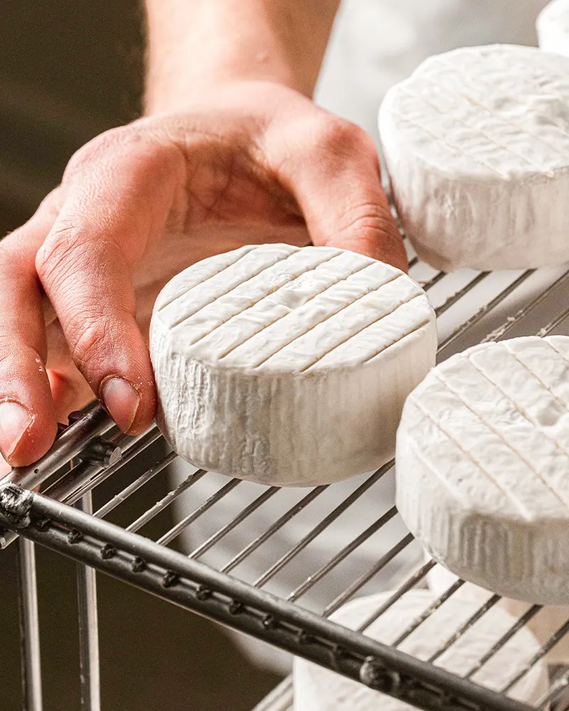 veganer Camembert auf einer Käseplatte, Fermaggio