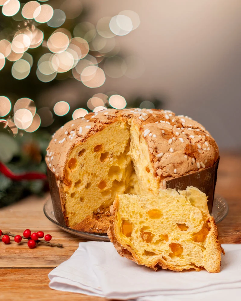 Panettone mit Aprikosen - im Geschenkkarton 