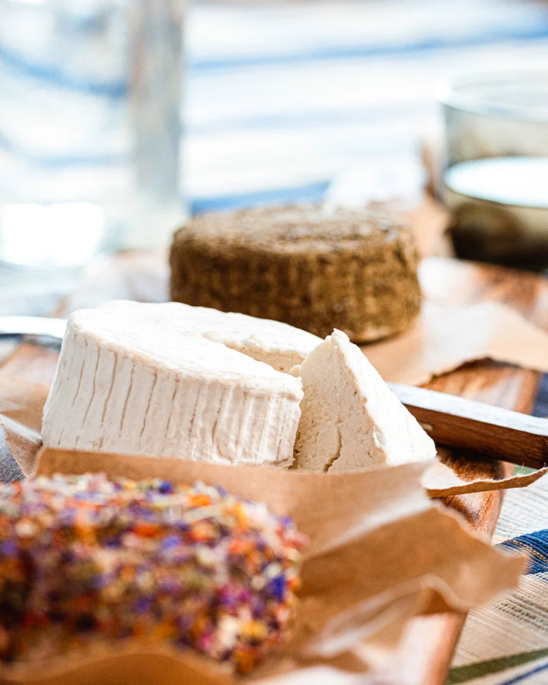 vegane Käsealterniva auf einer Käseplatte, Fermaggio